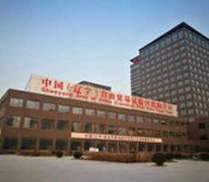 烏蘭察布政府科研院所項目翻譯